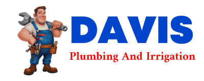 Trusted plumber in FRITCH